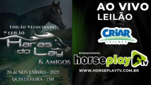 leilão ao vivo horse play tv (1)