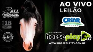 leilão ao vivo horse play tv (3)